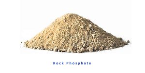 نمونه مطالعات امکان سنجی اقتصادی: تصفیه فاضلاب به صرفه است؟