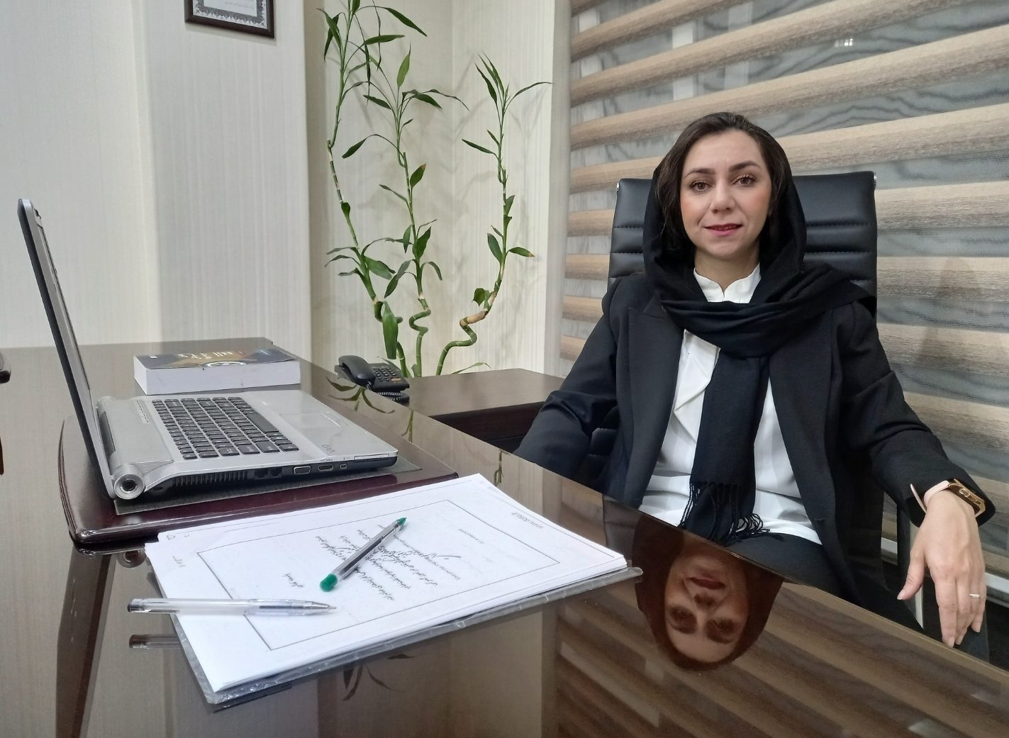 دکتر مهسا مشایخی مدیرعامل مهندسین مشاور نوآوران هم اندیش طرح و توسعه